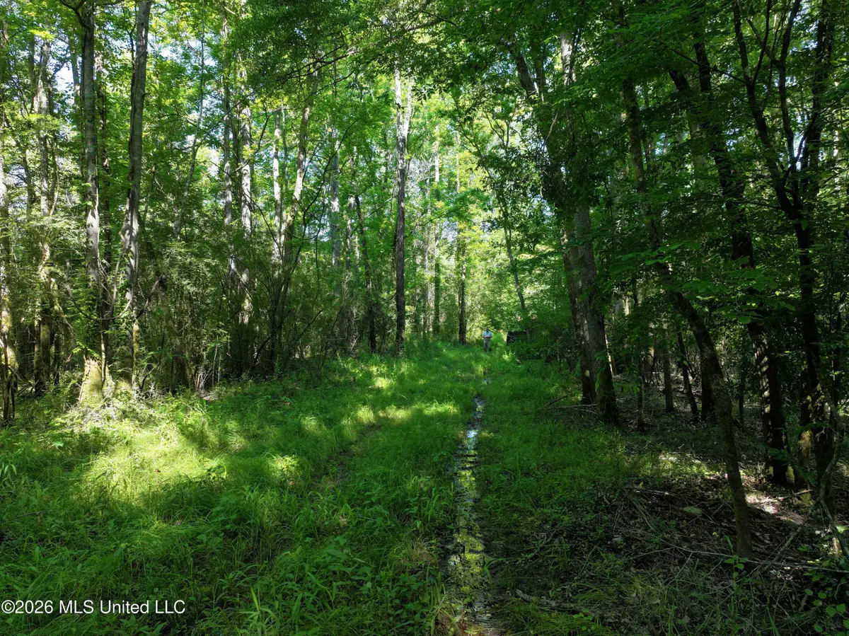 Us-51, Bogue Chitto, MS 39629 - #1