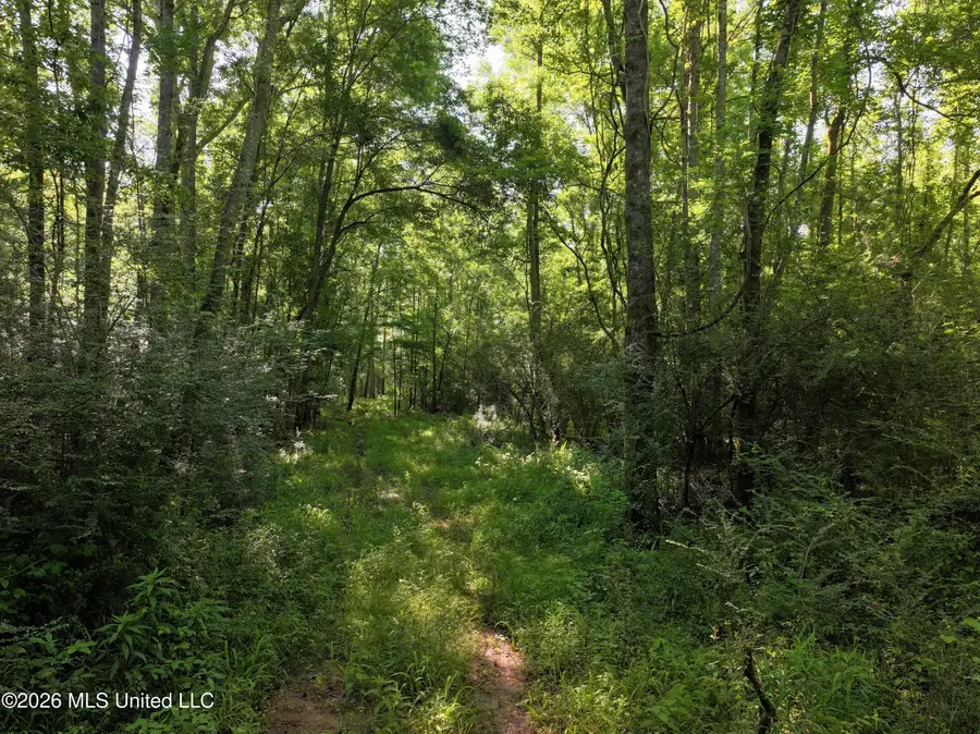 Us-51, Bogue Chitto, MS 39629 - #2