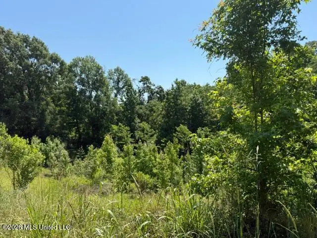 53 Cliffs Plantation Road, Natchez, MS 39120 - #2