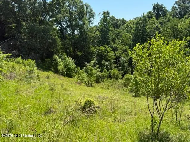 53 Cliffs Plantation Road, Natchez, MS 39120 - #3