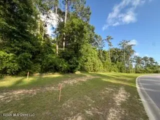 Osprey Drive, Ocean Springs, MS 39564 - #2