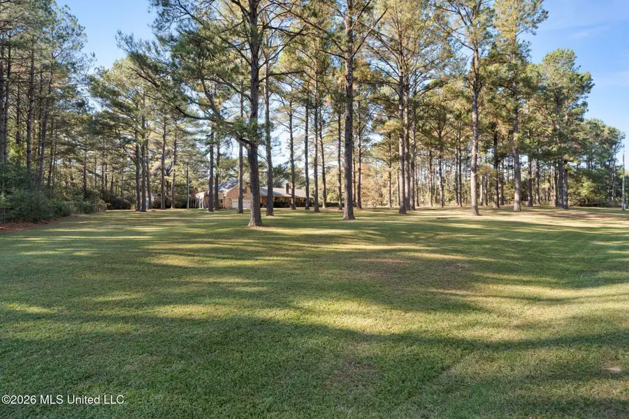 86 Haddox Road, Columbia, MS 39429 - #3