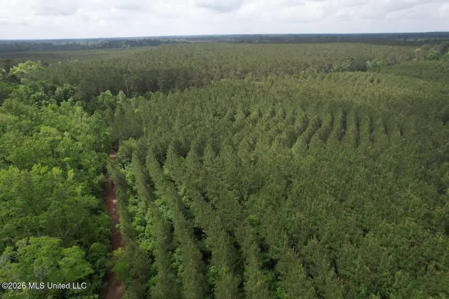 2355 Willie Redden Road, Greensburg, LA 70441 - #2