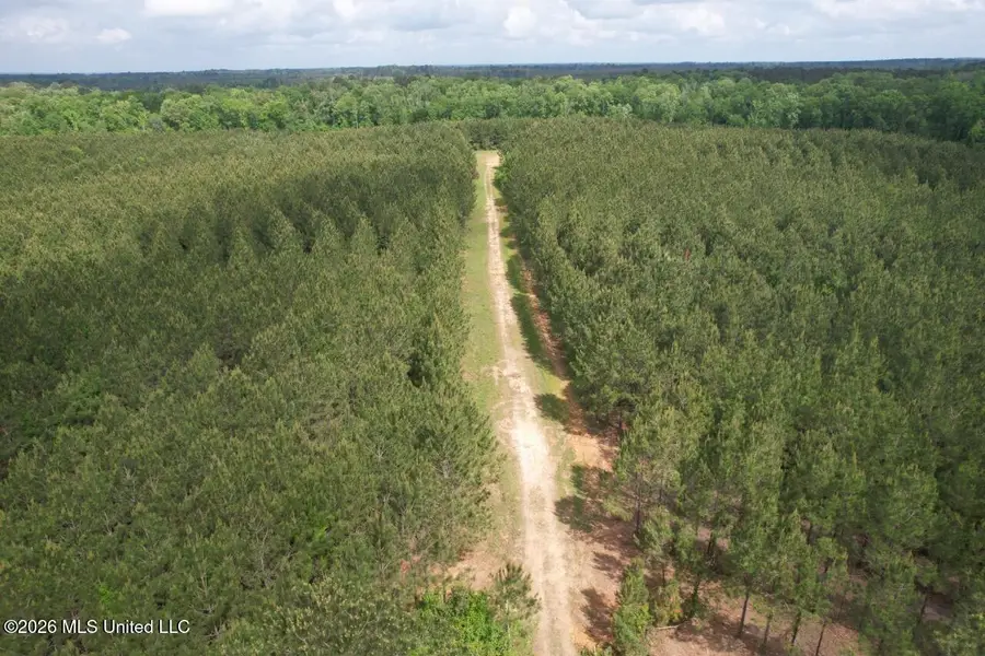2355 Willie Redden Road, Greensburg, LA 70441 - #3