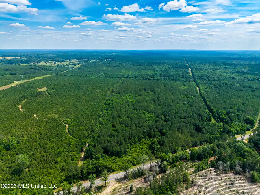 Hwy 43 N Hwy 43, Poplarville, MS 39470 - #2