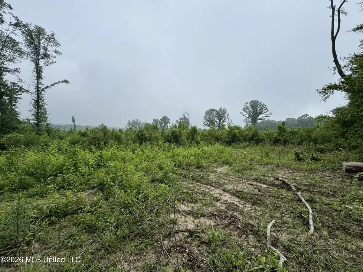 W Gallatin Street, Hazlehurst, MS 39083 - #1