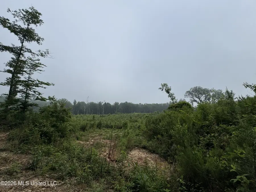 W Gallatin Street, Hazlehurst, MS 39083 - #2