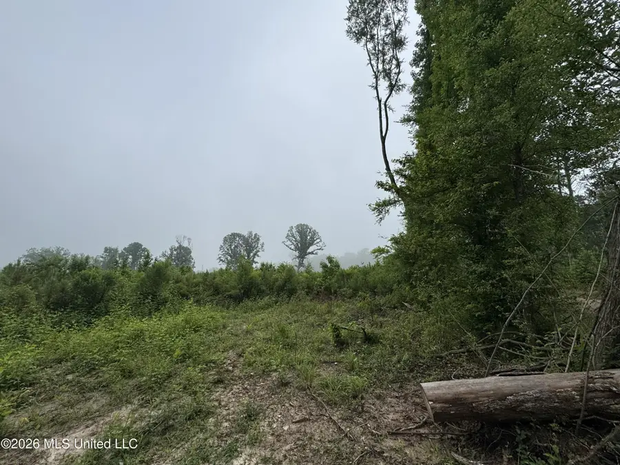 W Gallatin Street, Hazlehurst, MS 39083 - #3