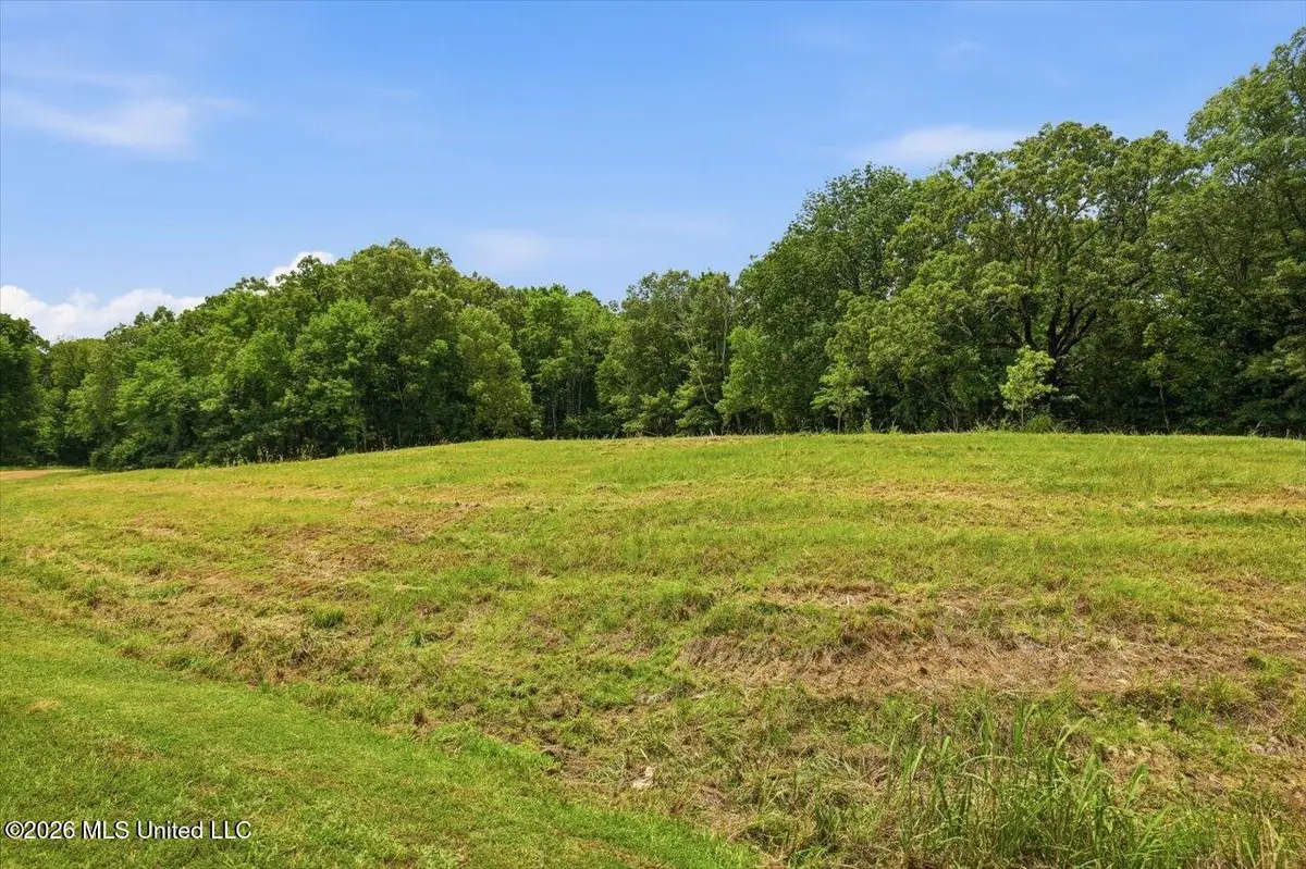 177 Chestnut Hill Road, Flora, MS 39071 - #1