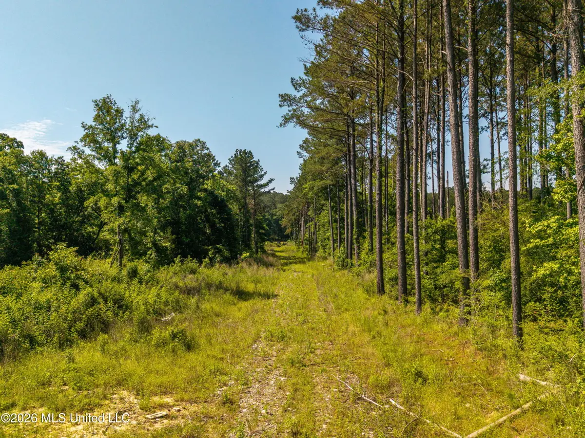 0 E Doc Clark Road, Morton, MS 39117 - #1