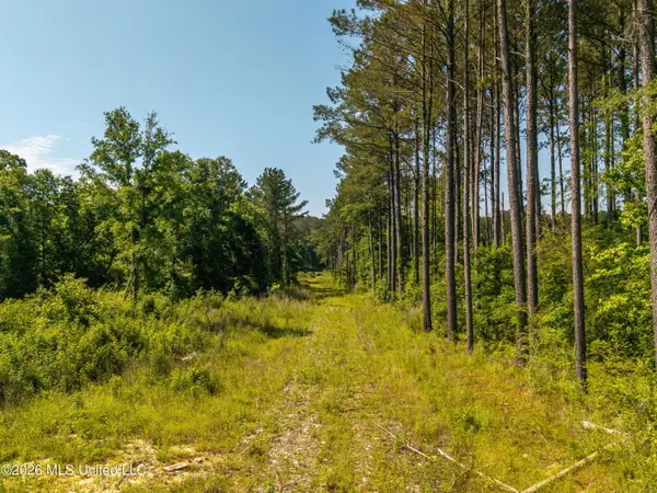 0 E Doc Clark Road, Morton, MS 39117