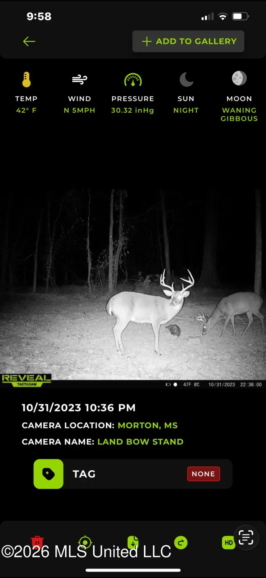 0 E Doc Clark Road, Morton, MS 39117 - #3