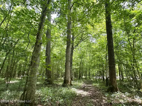 0 Highway 483, Morton, MS 39117