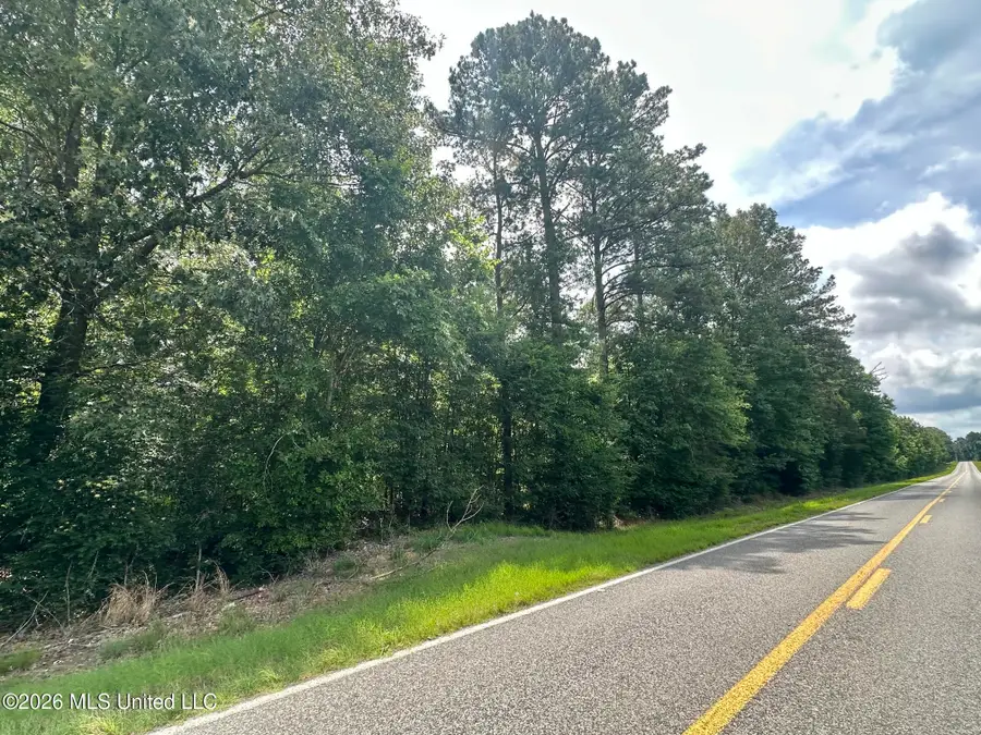0 Highway 483, Morton, MS 39117 - #2