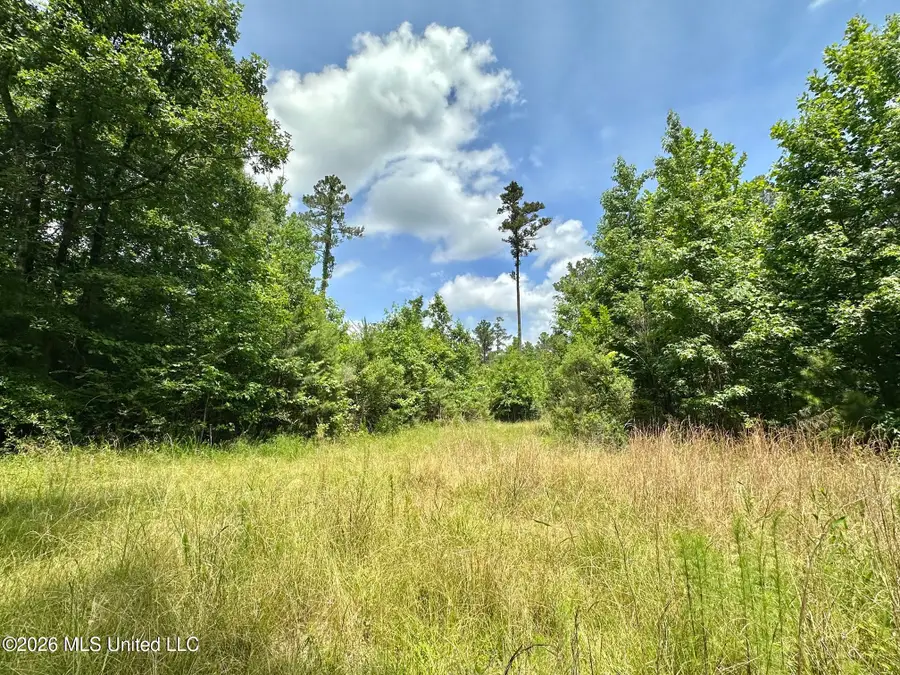 2 Highway 483, Morton, MS 39117 - #2