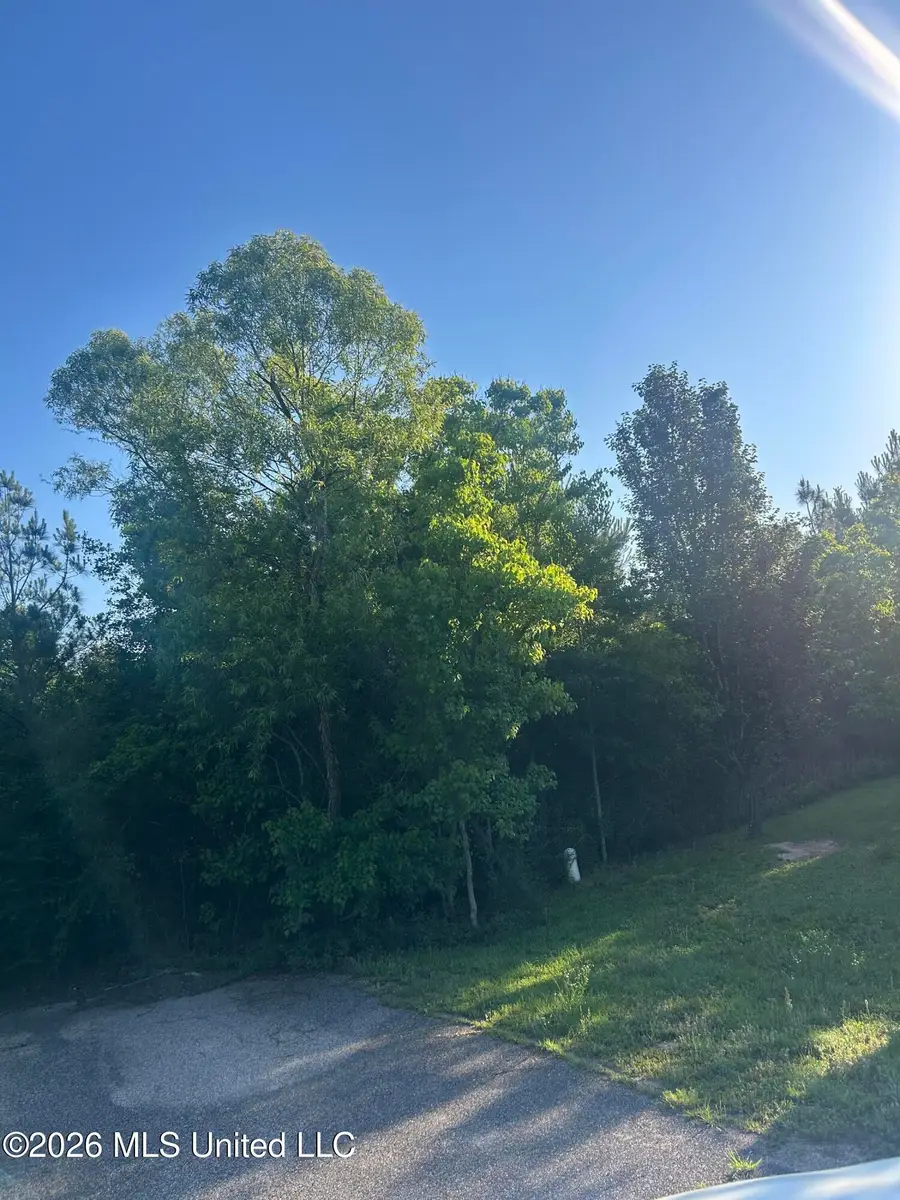 0 E Chanticleer Drive, Hattiesburg, MS 39402 - #3