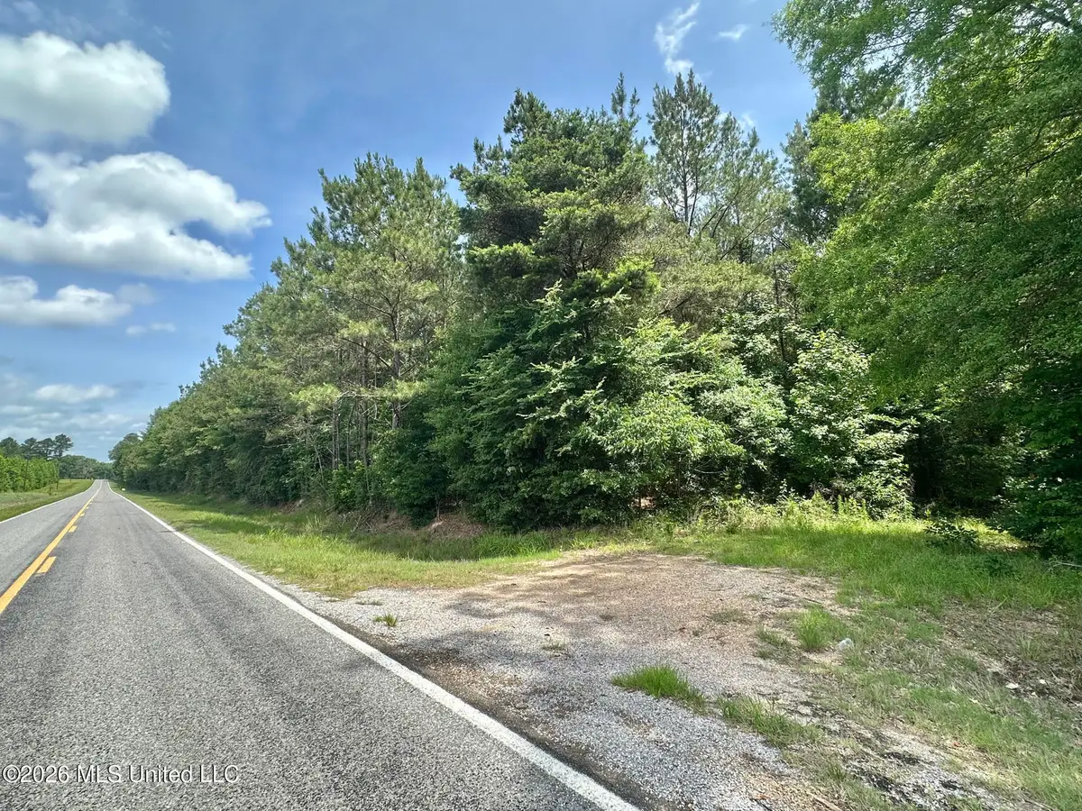 3 Highway 483, Morton, MS 39117 - #1