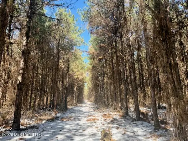 Prairie Debutte Road, Bastrop, LA 71220