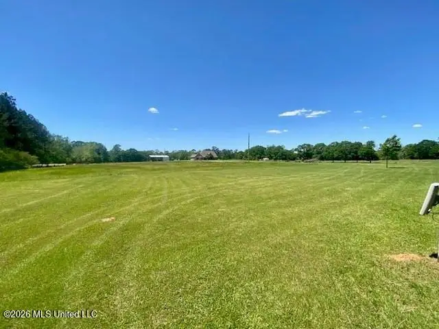 1079 Mount Herman Road, Osyka, MS 39657 - #2