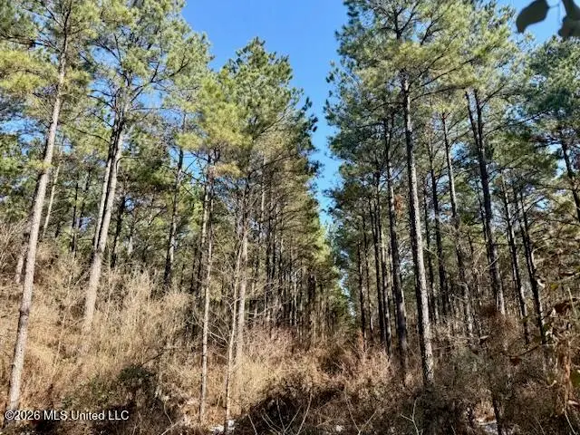Prairie Debutte Road, Bastrop, LA 71220 - #1