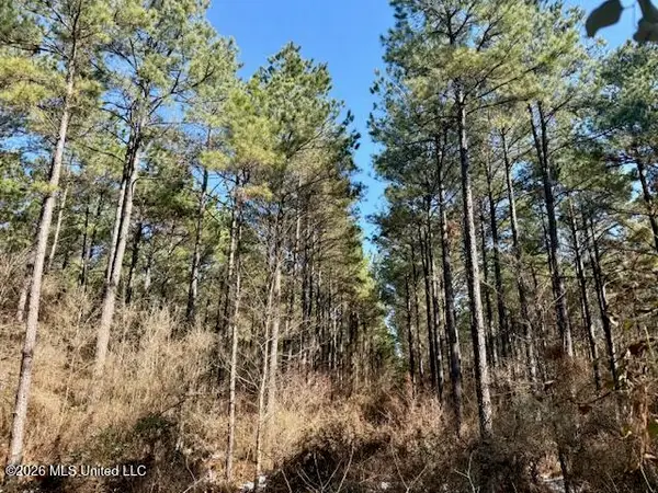 Prairie Debutte Road, Bastrop, LA 71220