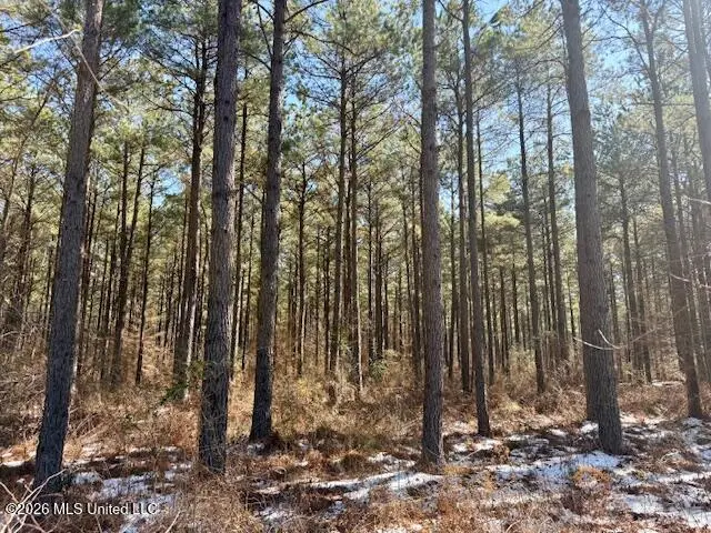 Prairie Debutte Road, Bastrop, LA 71220 - #2