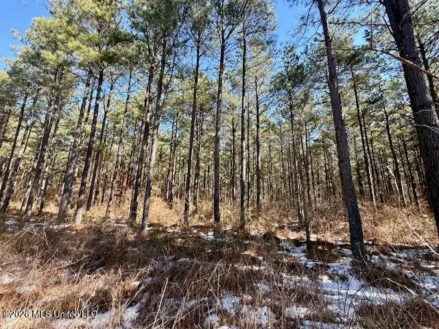 Prairie Debutte Road, Bastrop, LA 71220 - #3
