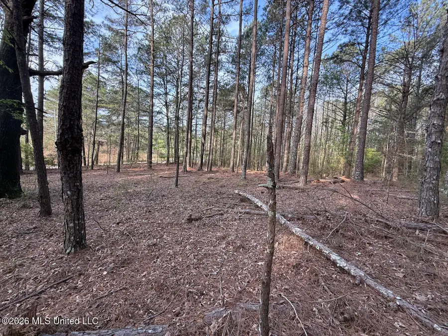 2893 Truesdale Road, Carthage, MS 39051 - #2