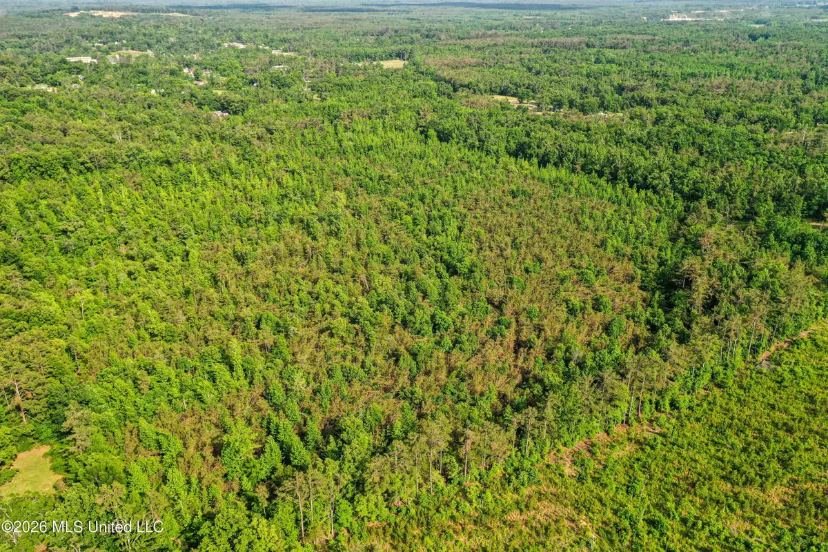County Road 816, Blue Mountain, MS 38610 - #1