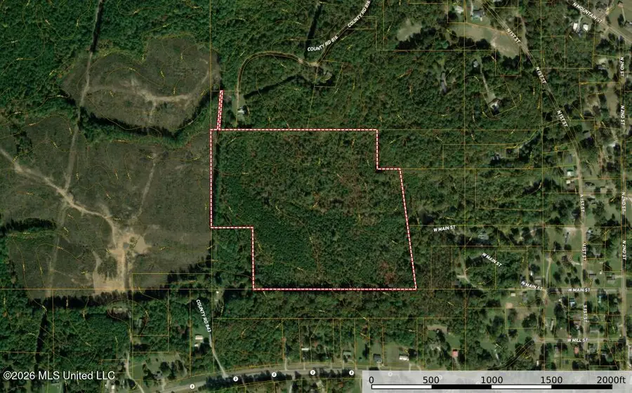 County Road 816, Blue Mountain, MS 38610 - #2