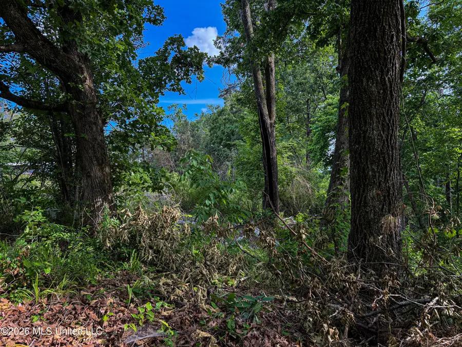 County Road 816, Blue Mountain, MS 38610 - #3