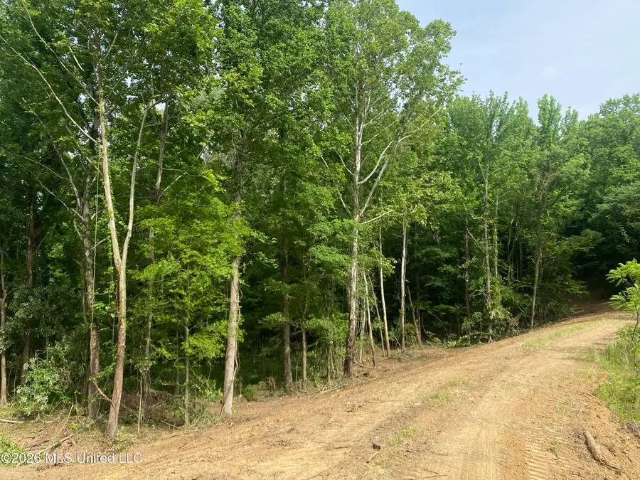 5317 Highway 3, Sarah, MS 38665 - #2