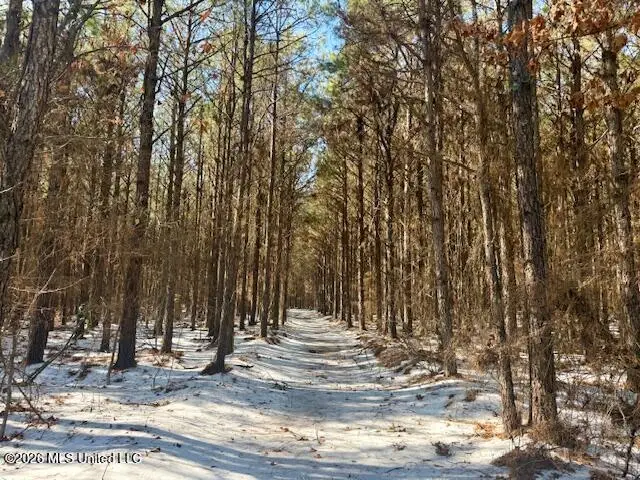 Cook Wallace Road, Bastrop, LA 71220 - #1
