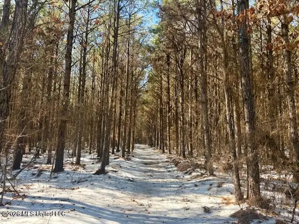 Cook Wallace Road, Bastrop, LA 71220