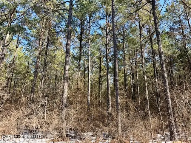 Cook Wallace Road, Bastrop, LA 71220 - #3