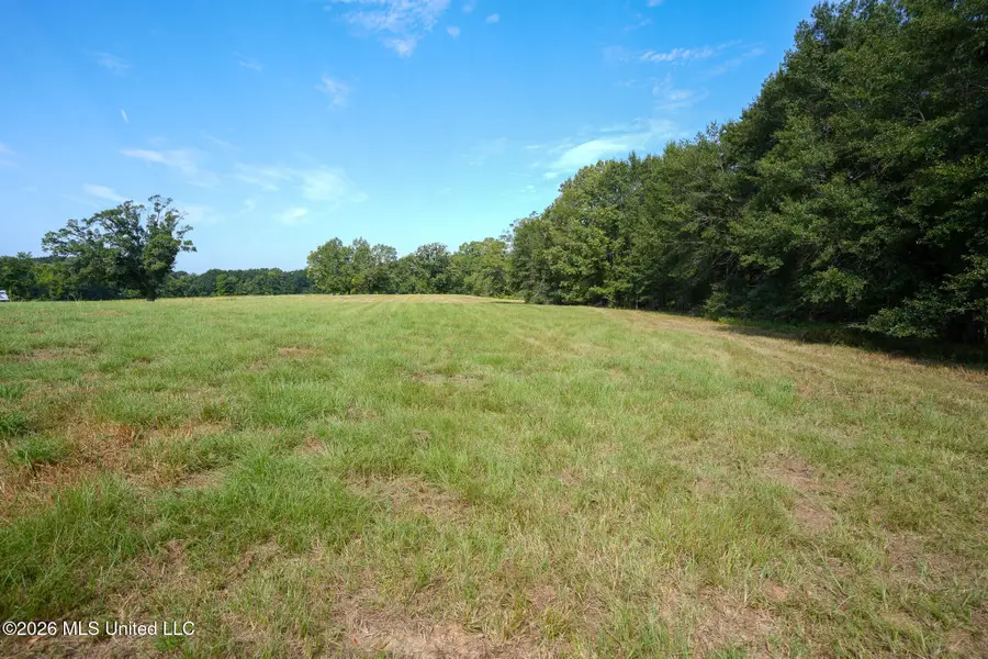Cane Creek Road, Flora, MS 39071 - #3