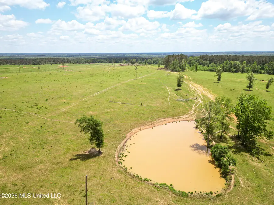 SE Gleenwood Rd., Ruth, MS 39662 - #2
