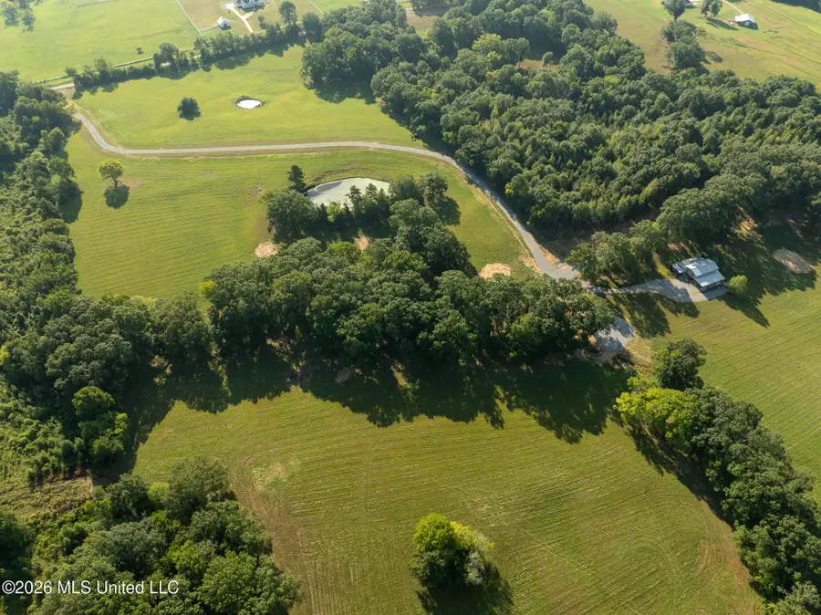 Grand Oaks Way, Flora, MS 39071 - #3