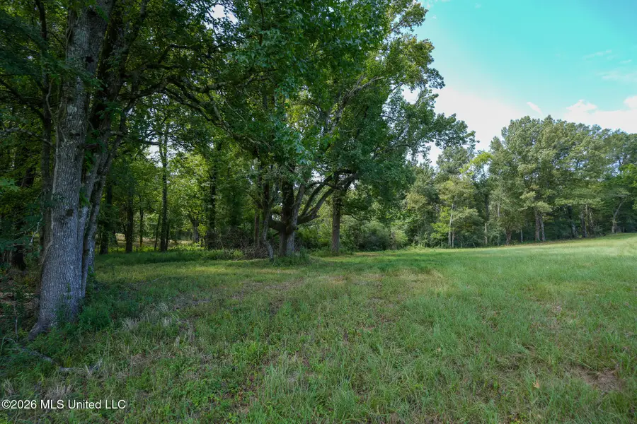Grand Oaks Way, Flora, MS 39071 - #3
