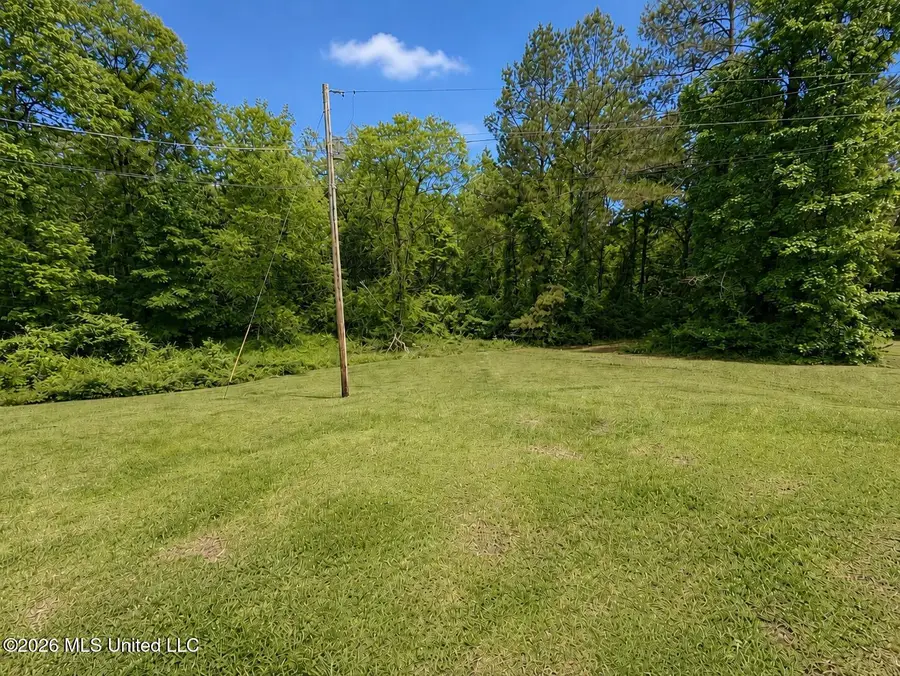 1040 Highway 43, Oak Vale, MS 39656 - #3