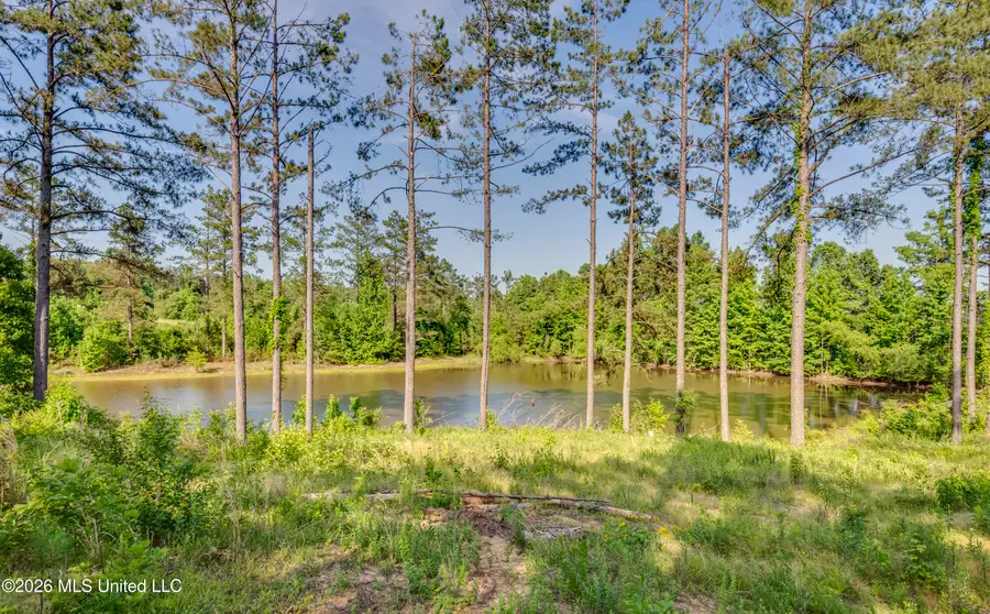 6030 Wash Bailey Road, Durant, MS 39063 - #2