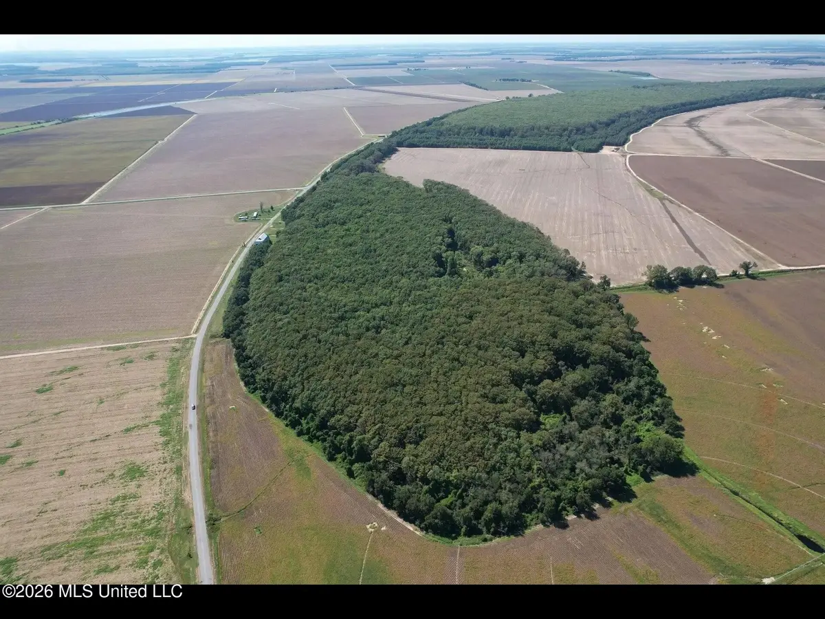 Co Rd 515, Schlater, MS 38952 - #1