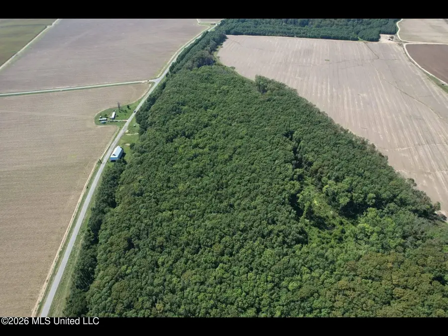 Co Rd 515, Schlater, MS 38952 - #2