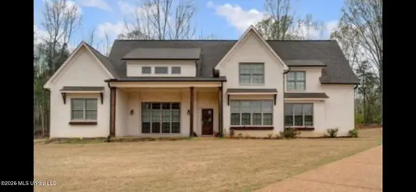 9904 Timber Cove, Olive Branch, MS 38654