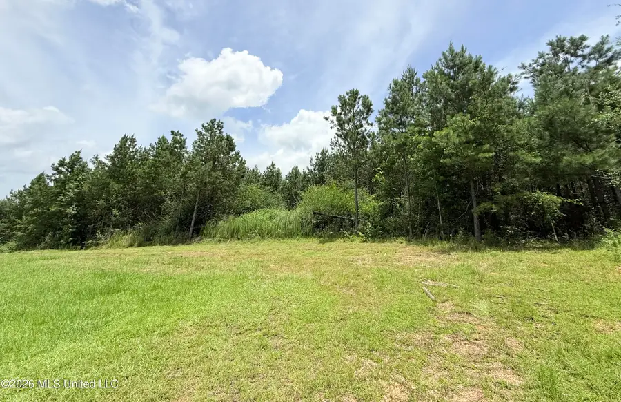 Summit Drive, Summit, MS 39666 - #2