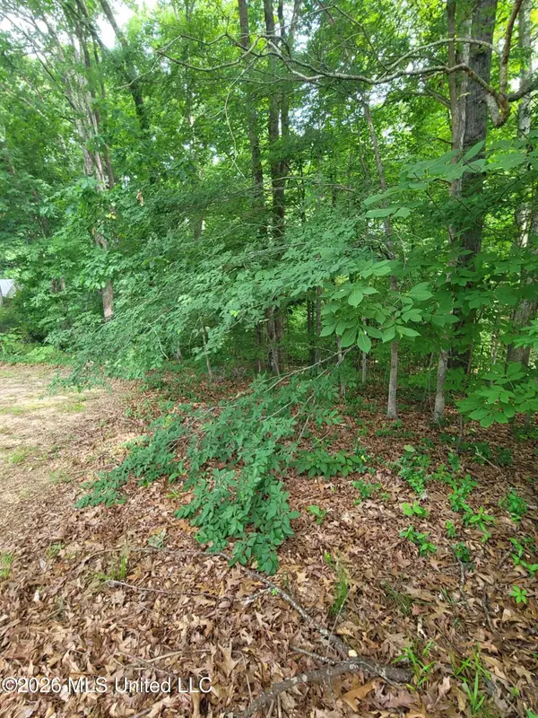 1476 Thunderbird Drive, Hernando, MS 38632