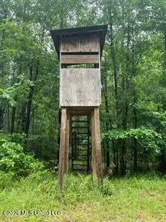 Lowenkamp Lane, Hazlehurst, MS 39083 - #1