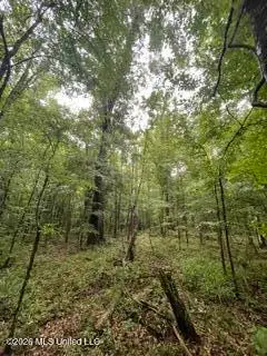 Lowenkamp Lane, Hazlehurst, MS 39083 - #2