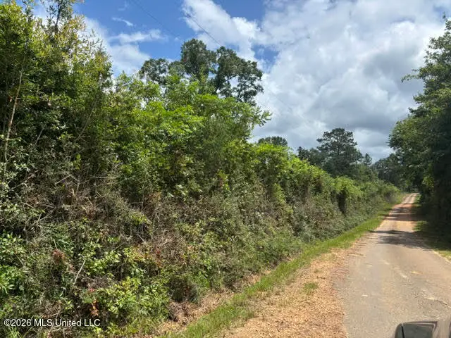 N Lela Drive, Magnolia, MS 39652 - #2