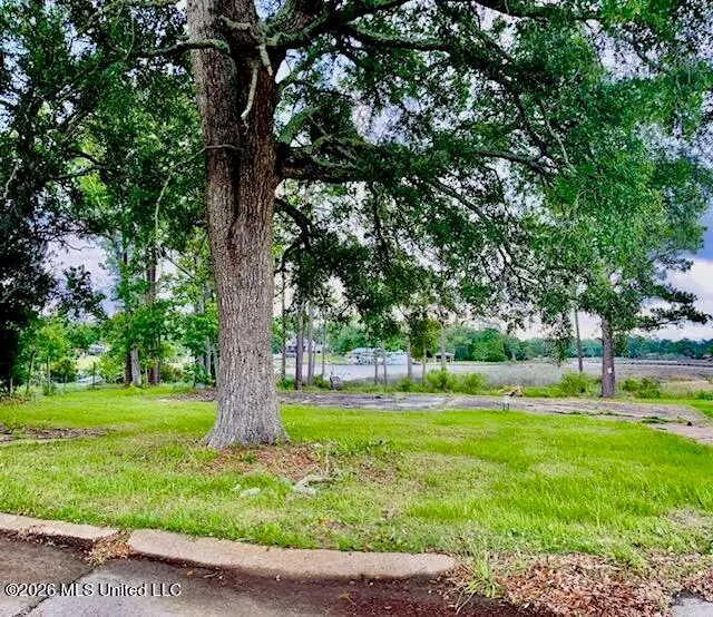 14512 Porteaux Bay Drive, Biloxi, MS 39532 - #1